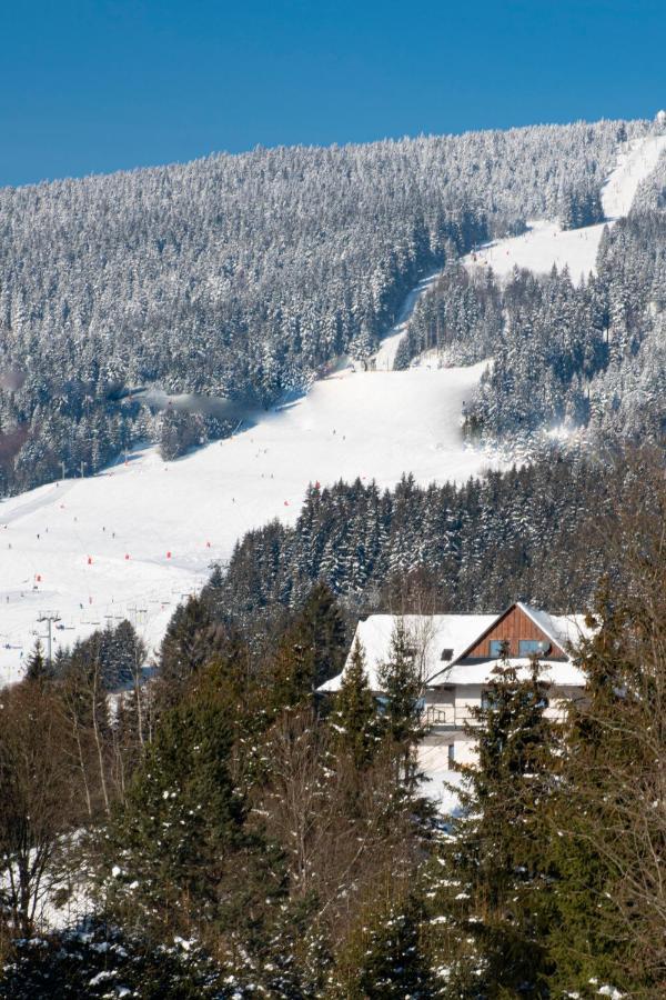 Apartman Jesienka, Hillside Dolny Kubin Dış mekan fotoğraf
